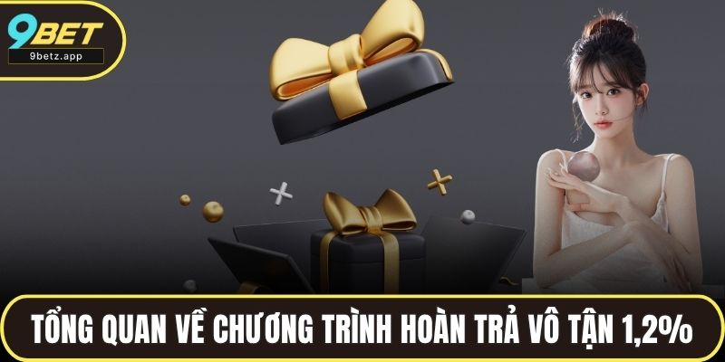 Tổng quan về chương trình hoàn trả vô tận 1,2%